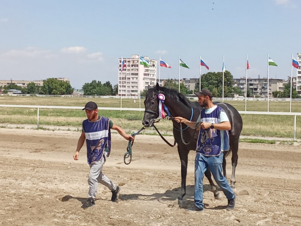 c06f9d9f-aef2-4169-b62e-ef0ccfb84240.jpeg c06f9d9f-aef2-4169-b62e-ef0ccfb84240.jpeg