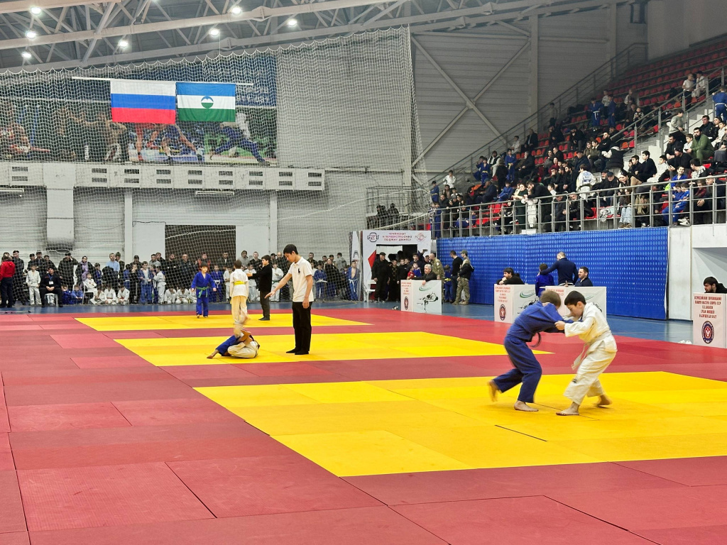 photo_5332332070312808135_w.jpeg photo_5332332070312808135_w.jpeg