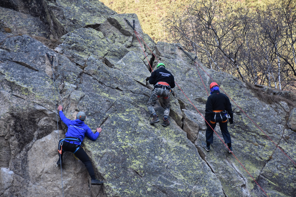 DSC_4603.jpeg DSC_4603.jpeg