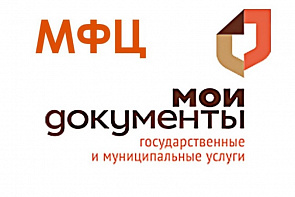 Минэкономразвития РФ назвало регионы - лидеры по работе МФЦ