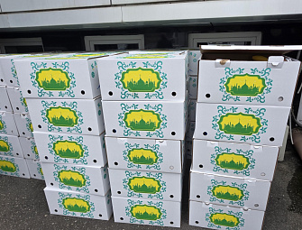 В Баксанском районе оказали помощь семьям участников СВО 