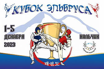 В Кабардино-Балкарии проходит мастерский турнир по тхэквондо