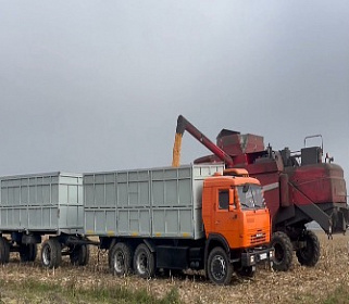Урванский район собирает высокий урожай кукурузы