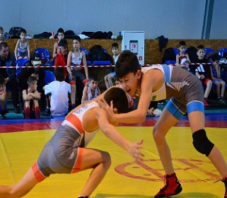 Фестиваль боевых искусств: спорт, сила и единство