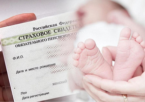 Отделение СФР по КБР проактивно оформило СНИЛС 3592 новорожденным
