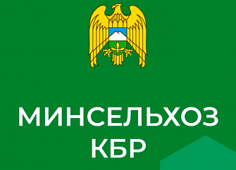 Урожай зерновых в Кабардино-Балкарии превысил 1,2 млн тонн