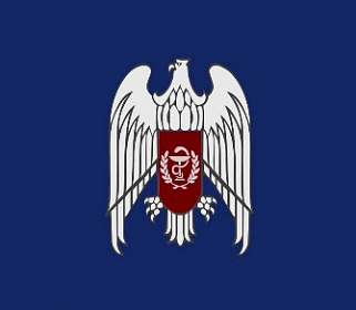 Врачи спасли двух пациентов от опухолей малого таза