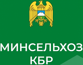 В четырех регионах СКФО проверили качество нового урожая пшеницы