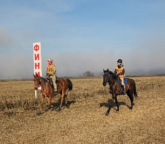 Миллион рублей разыграли в Баксане на турнире по конным пробегам