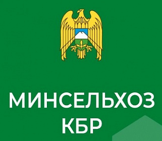 Противоградовая защита республики