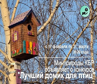 Объявлен конкурс «Лучший домик для птиц»