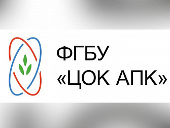 Витамины весной: как поддержать организм  