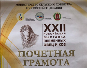 Национальное подворье Кабардино-Балкарии стало победителем Российской выставки племенных овец и коз