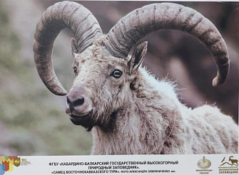 Выставка к 50-летию Кабардино-Балкарского высокогорного природного заповедника