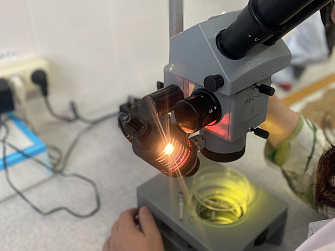 В лаборатории филиала ЦОК АПК в Кабардино-Балкарской Республике исследовано более 18 тысяч тонн зерна кукурузы      